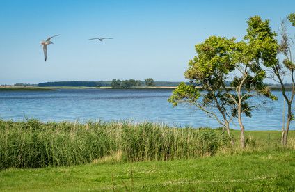 Boddenlandschaft